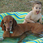 Kipper and Conner in the pool.