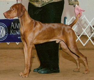 Duke