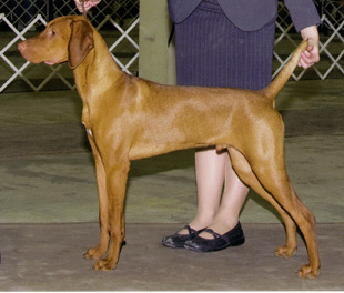 Nikko