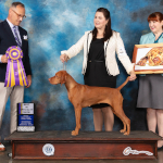 Mabel winning Best in Specialty Show