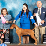 Mabel winning OH Group 1st and Sporting Group 4th