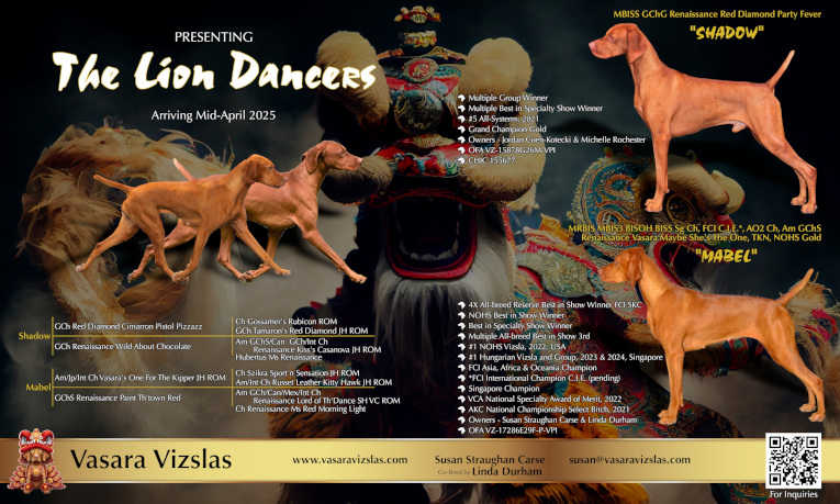 Lion Dancer's arrived April 16, 2025