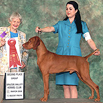 Kipper, 4 yrs old