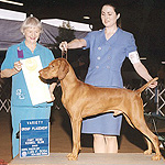 Kipper, 3 yrs old