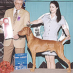 Kipper, 2 yrs old