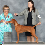 Mabel winning Best of Breed