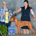 Mabel's first group placement! 1.5 years old