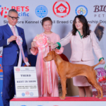 Mabel winning Best in Show 3rd