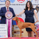 Mabel winning Reserve Best in Show at the 39th FCI International CACIB Show under Judge Mr Denis Kuzelj (Slovenia)