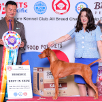 Mabel winning Reserve Best in Show