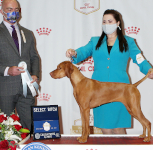 Mabel, AKC National Championship Select Bitch, 2021