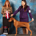 Mabel winning her 2nd Specialty Best of Opposite win.