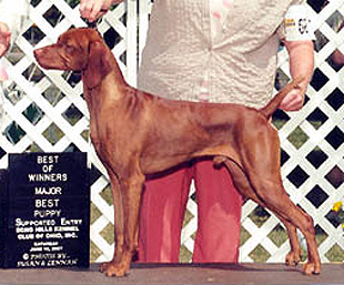 riley