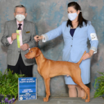 Trotwood winning Puppy Best in Show