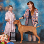 Trotwood and Michael taking Best of Opposite at the Texas World Series of Dog Shows