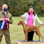 Mabel winning VCA Regional BOW and OHBOB